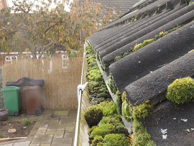 Gutter Cleaning Before Clean