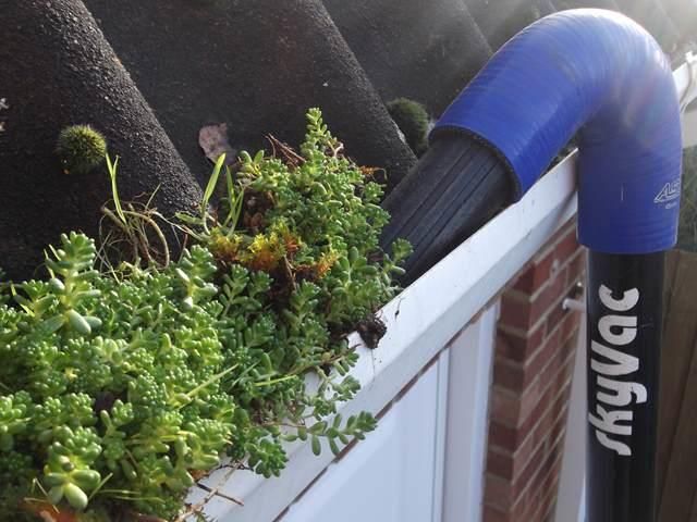 Gutter Cleaning Before Clean
